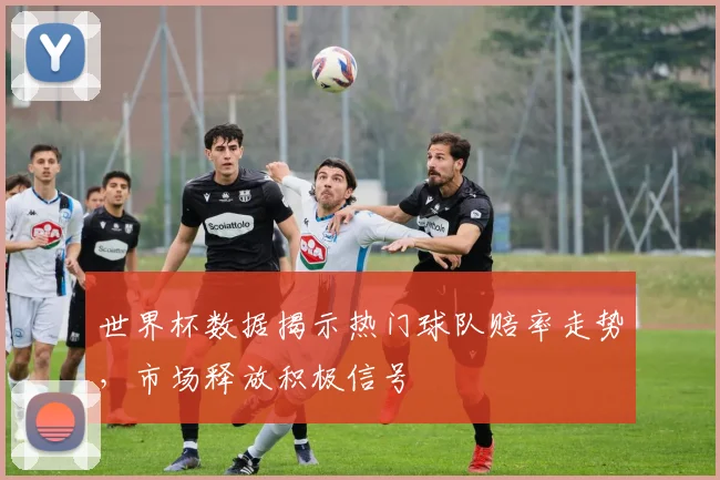 世界杯数据揭示热门球队赔率走势，市场释放积极信号