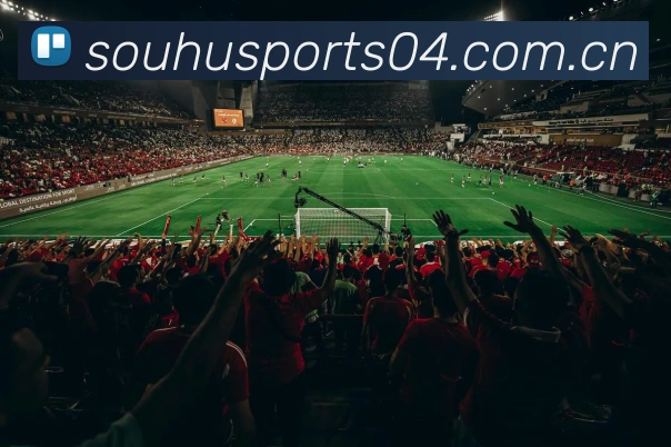 搜狐体育平台生态图